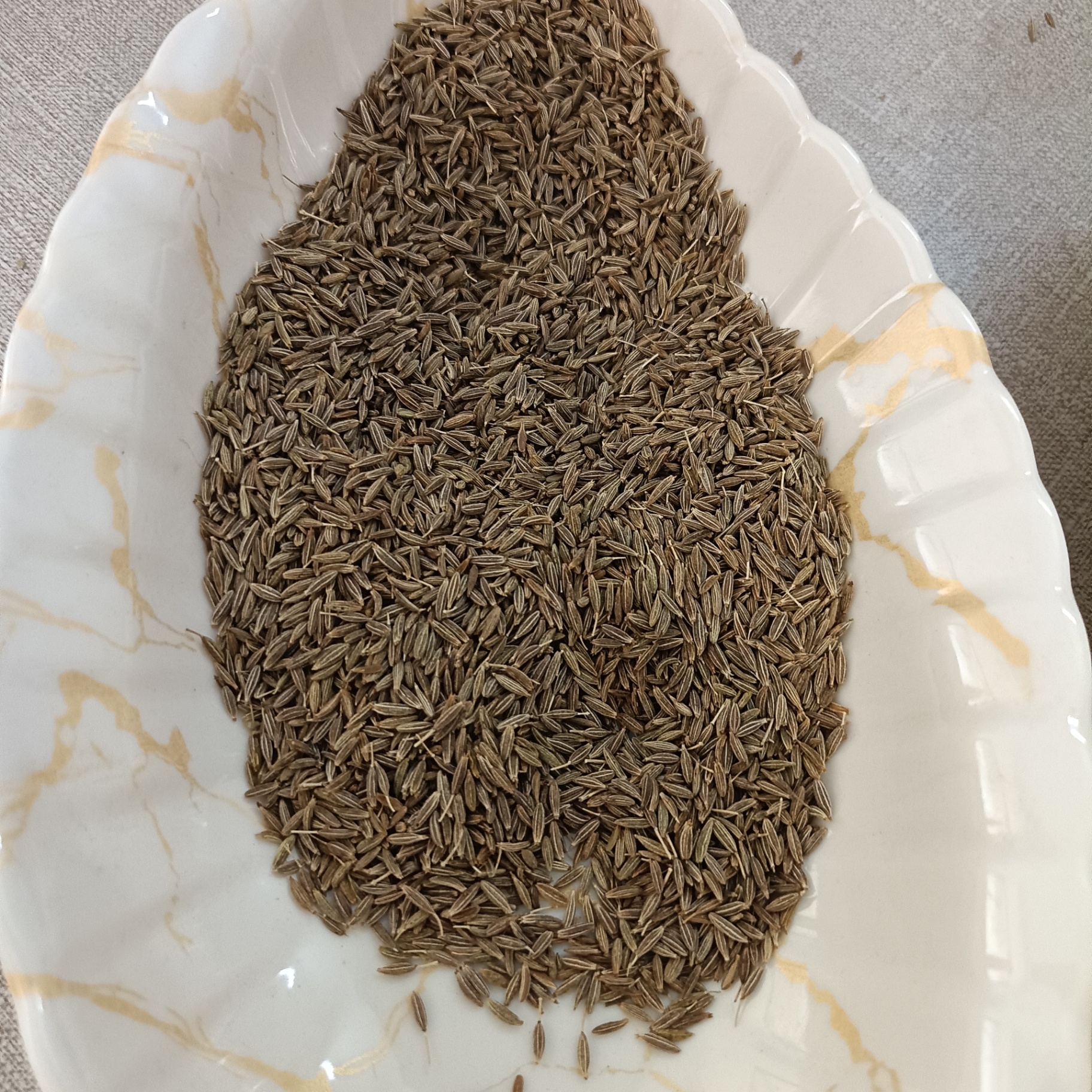 Cumin sample in a white bowl during supplier evaluation