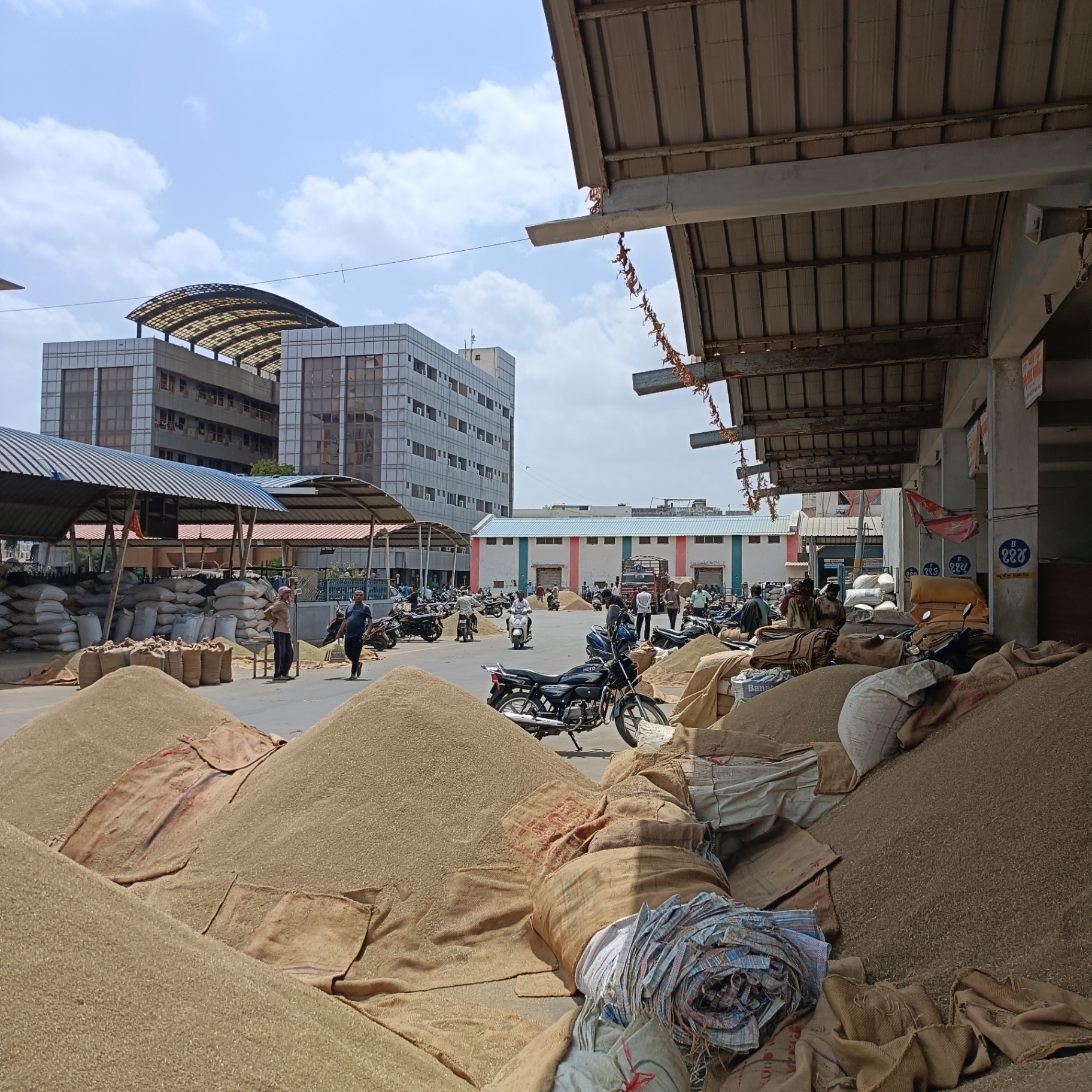 Bulk agricultural commodities observed at Unjha market